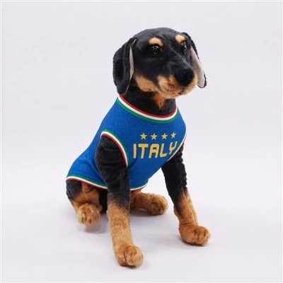 Pet Italy Fan Football Jersey
