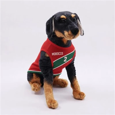 Pet Morocco Fan Football Jersey