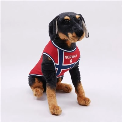 Pet Norway Fan Football Jersey